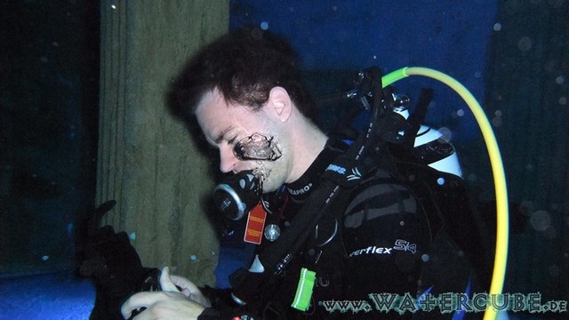 Dive4Life-09.jpg