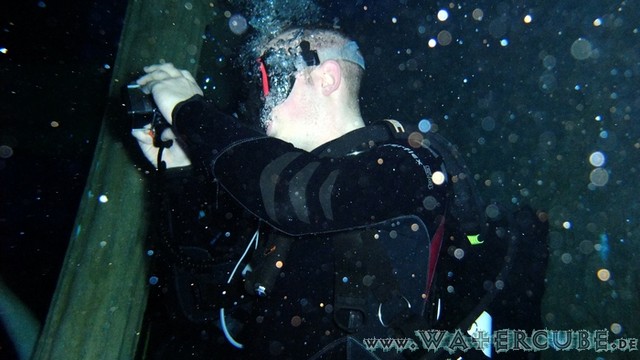 Dive4Life-24.jpg