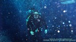 Dive4Life-34.jpg