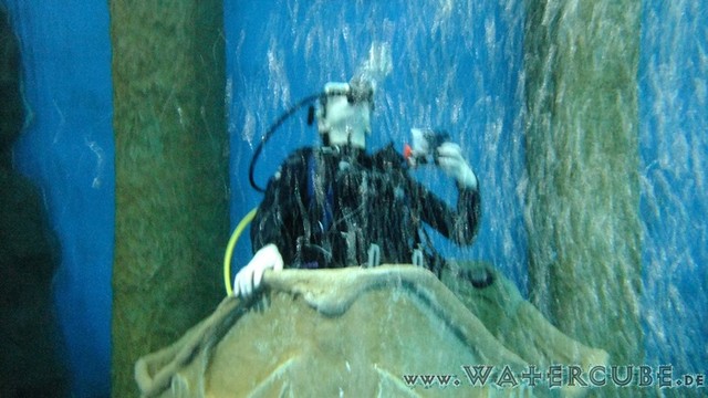 Dive4Life-35.jpg