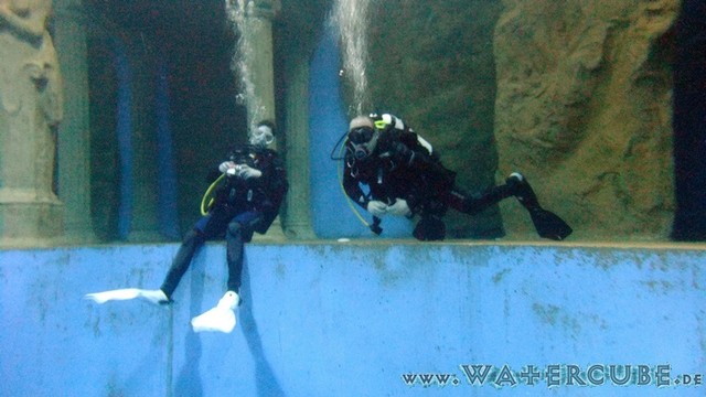 Dive4Life-40.jpg