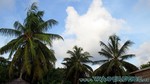 Reethi2011-0046.jpg