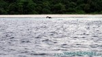 Reethi2011-0568.jpg