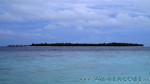 Reethi2011-0579.jpg