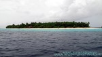 Reethi2011-0587.jpg