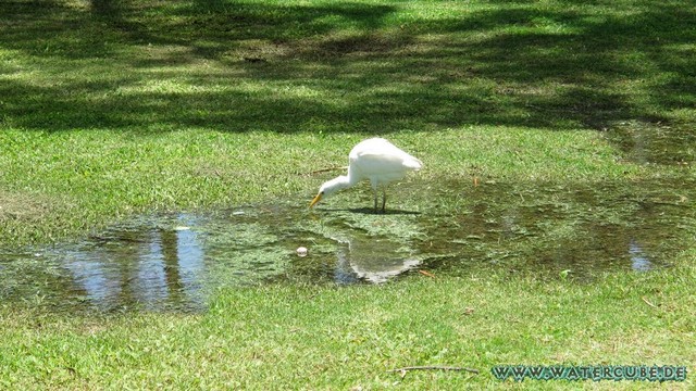 Hawaii-2012-127.jpg