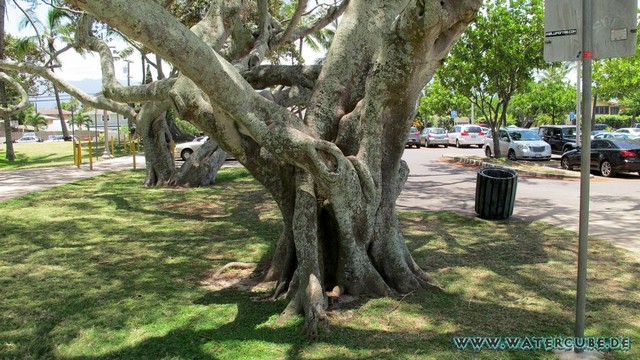 Hawaii-2012-128.jpg