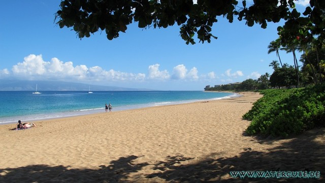 Hawaii-2012-458.jpg