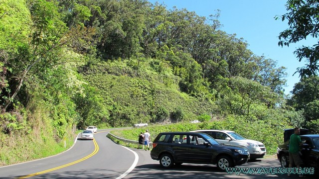 Hawaii-2012-584.jpg