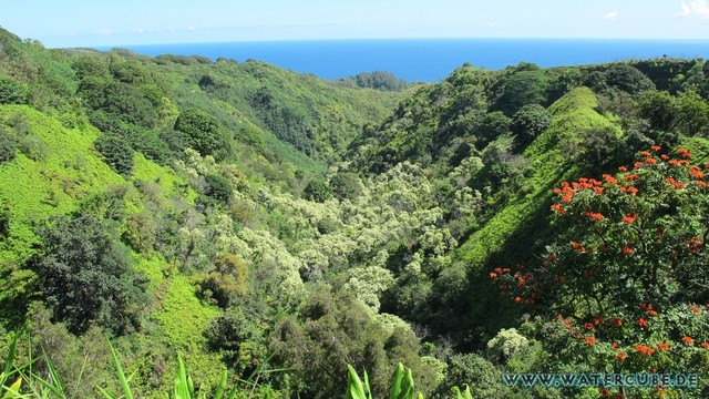 Hawaii-2012-586.jpg