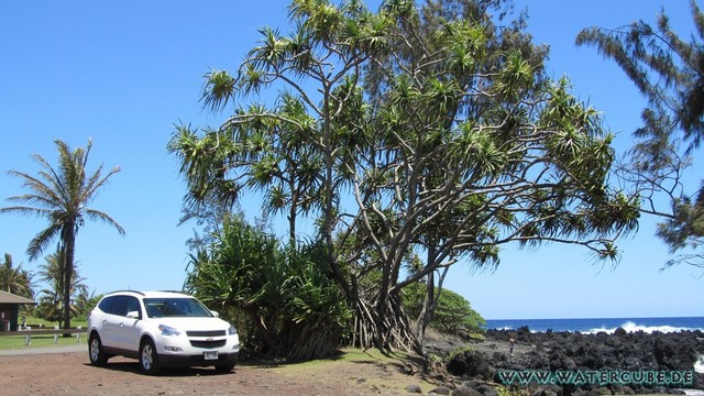 Hawaii-2012-600.jpg