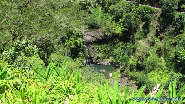 Hawaii-2012-608.jpg