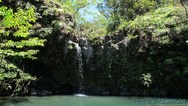 Hawaii-2012-611.jpg