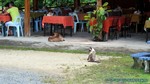 Thailand2013-0151.jpg