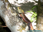 Reethi-Beach-2007-067.jpg